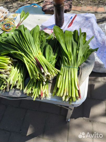 Продукты питания