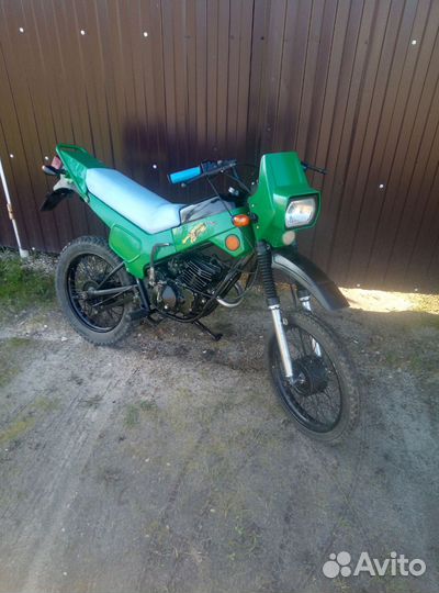 Зид пилот 50