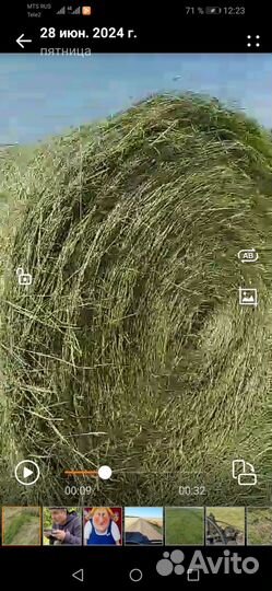 Сено в рулонах