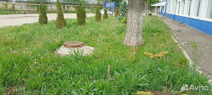 Благоустройство участка