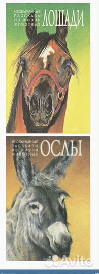 Необычайные рассказы из жизни животных