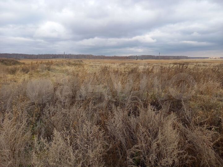 Участок 12 сот. (ИЖС)