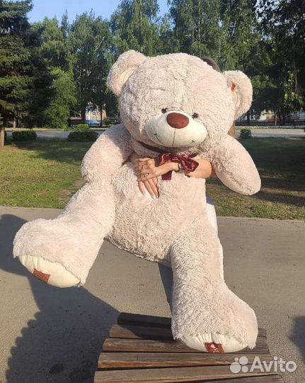 Большие плюшевые медведи