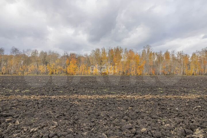 Участок 9,8 сот. (СНТ, ДНП)