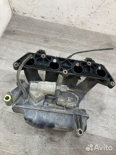 Коллектор впускной Ford Focus