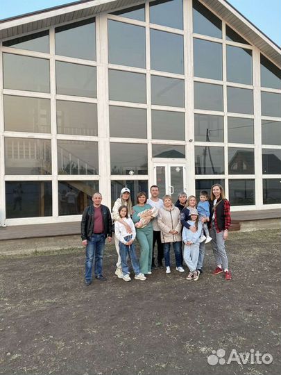 Детский день рождения за городом, прогулка с Хаски