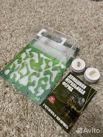 Муравьиная ферма без муравьев