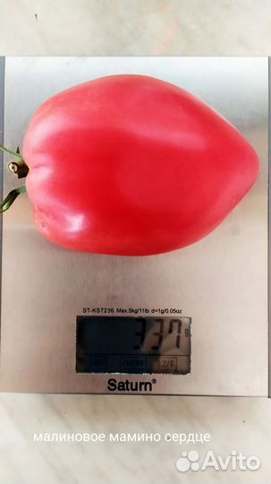 Семена коллекционных томатов