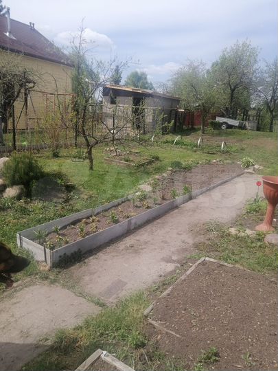 Дом 40 м² на участке 20 сот.