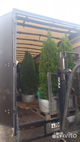 Грузоперевозки переезды газель+ грузчики