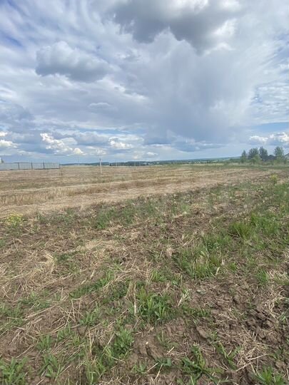 Участок 9,5 га (СНТ, ДНП)