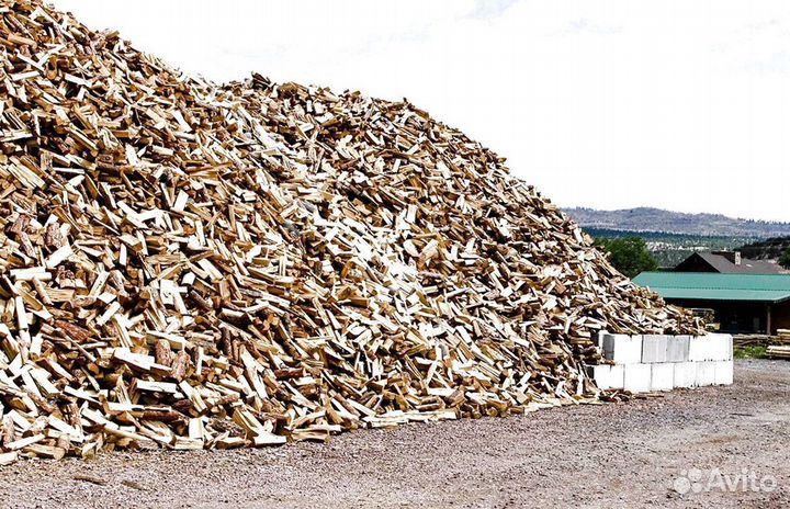 Дрова в СПБ