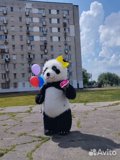 Мишка тедди на праздник