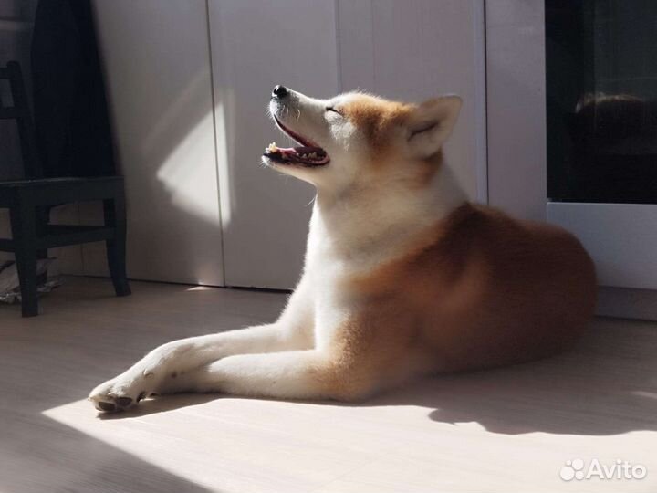 Предложение услуг