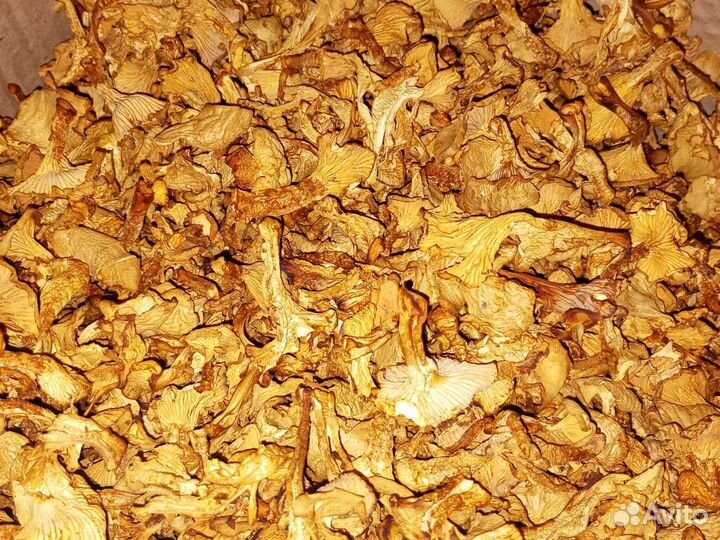 Лисички. Грибы Сушеные