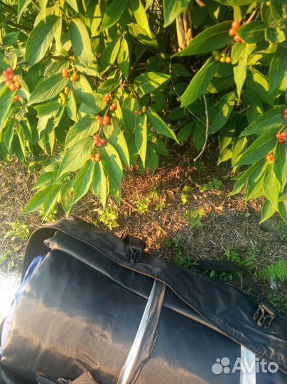 Палатка (ангар)