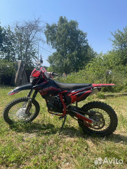 BSE Z10
