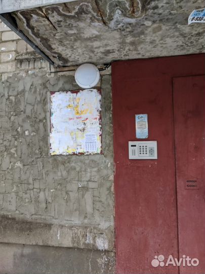 Промоутер-расклейщик ежедневные выплаты