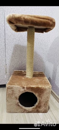 Когтеточка