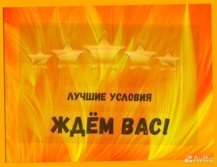 Оператор линии Выплаты еженедельно Без опыта М/Ж