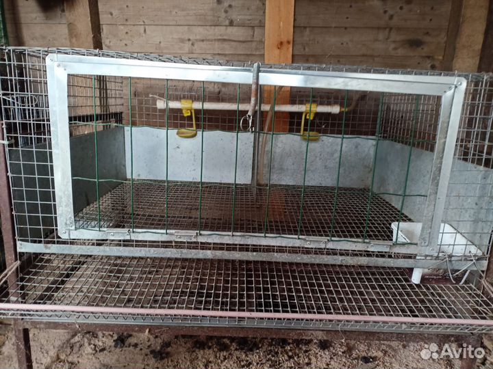 Клетки для несушек