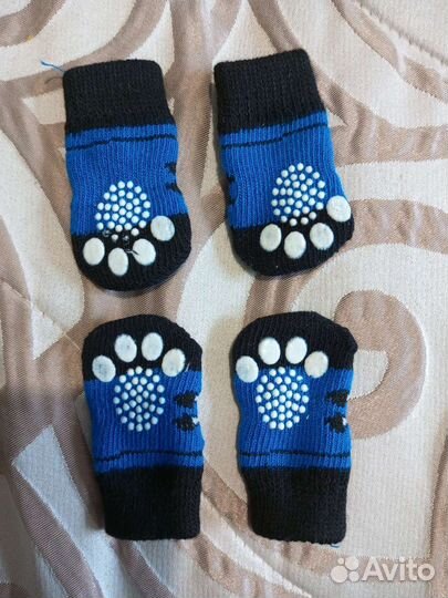 Носочки для собак