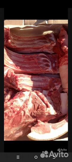 Мясо кабанчика