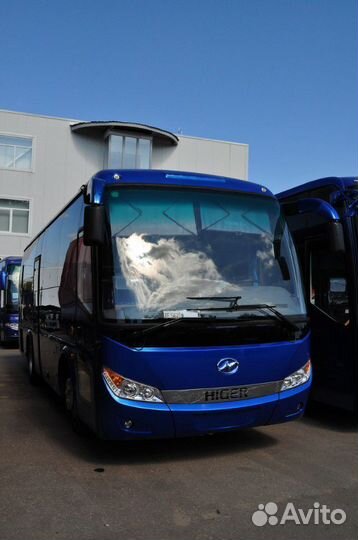 Заказ, аренда автобусов и микроавтобусов