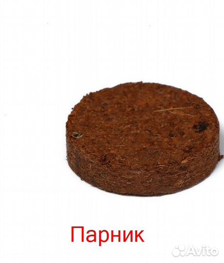 Для рассады