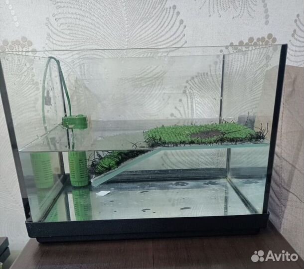 Террариум для красноухой черепахи