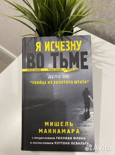 Книга «Я исчезну во тьме»
