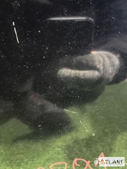 Капот передний nissan teana