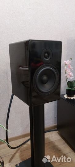 Акустика Opti 17