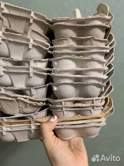 Лотки для яиц