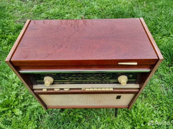 Радиола ригонда