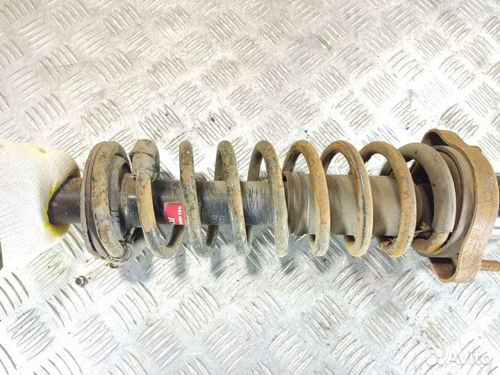 Пружина задняя Vortex Vortex estina