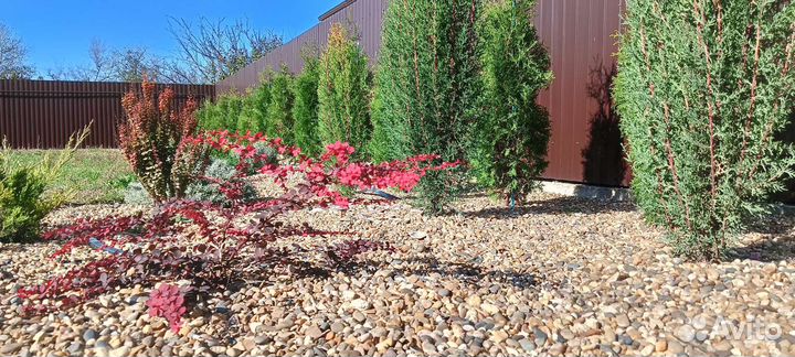 Галька речная