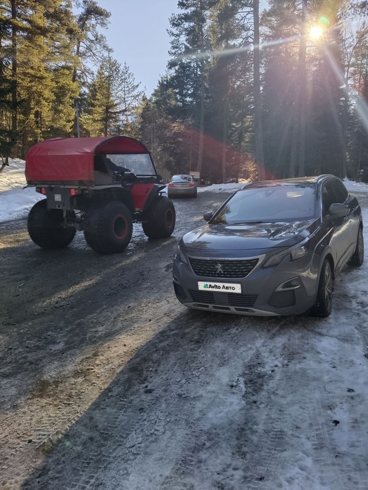 Peugeot 3008: фото владельца