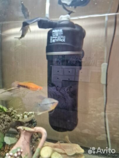 Аквариум с рыбками и пр