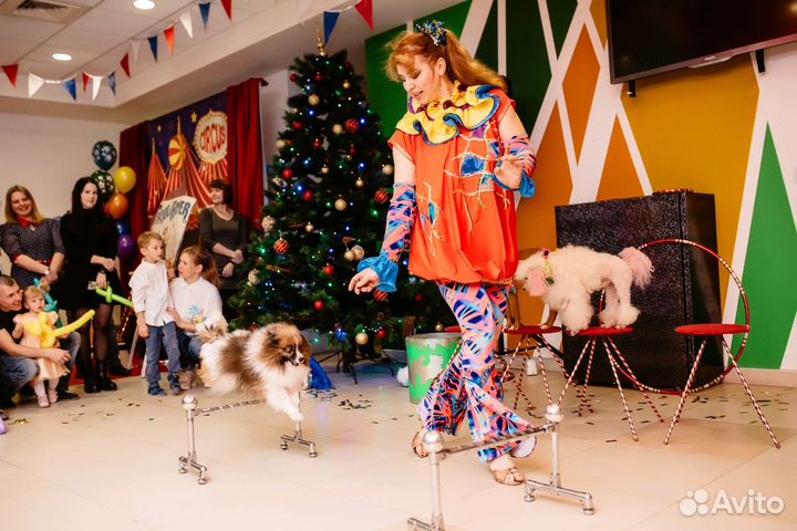 Дрессированные животные на праздник в Москве