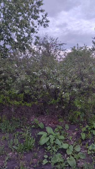 Дача 10 м² на участке 6 сот.