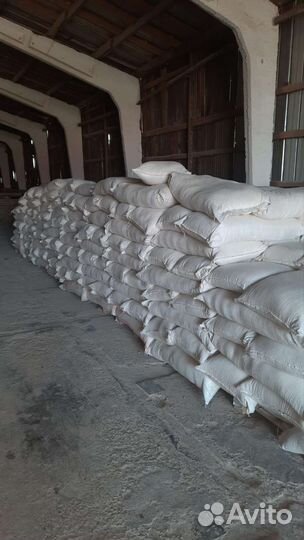 Корма для животных