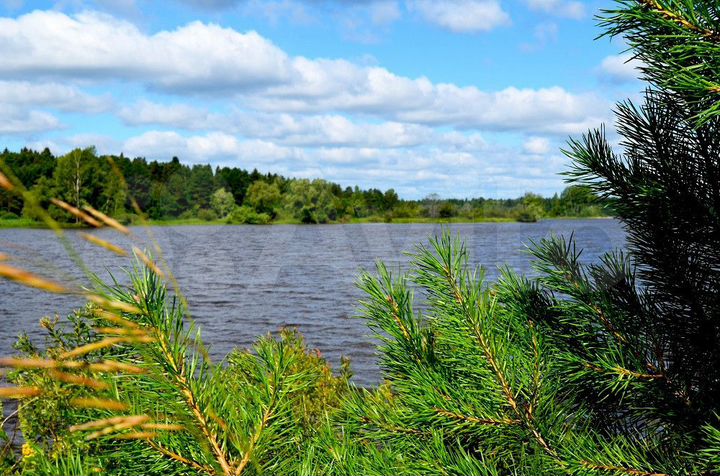 Участок 30 сот. (ИЖС)