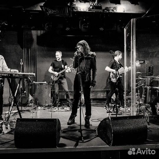 Профессиональный композитор и музыкант