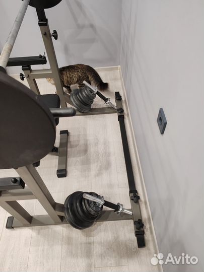 Стойки для жима штанги