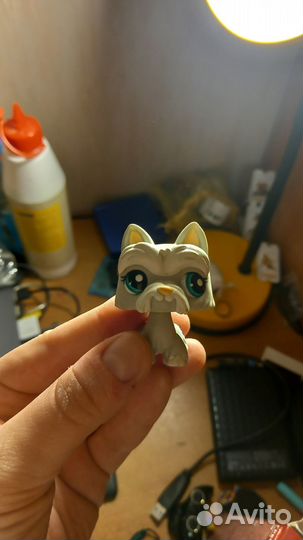 Littlest pet shop lps