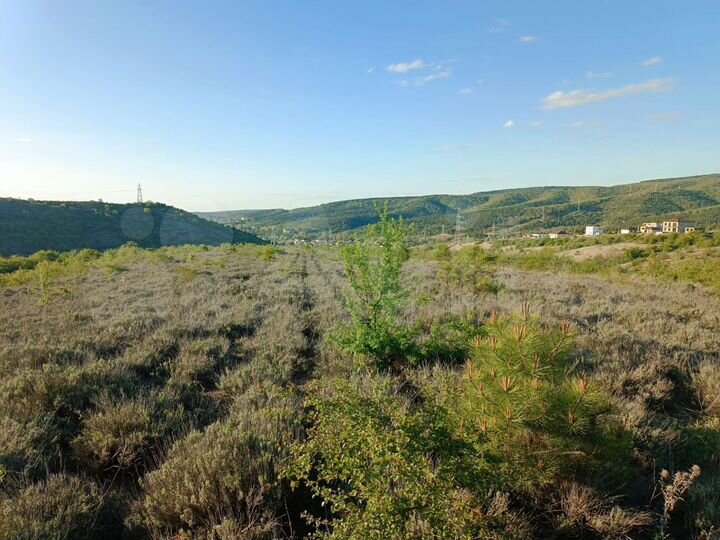 Участок 3,2 га (СНТ, ДНП)