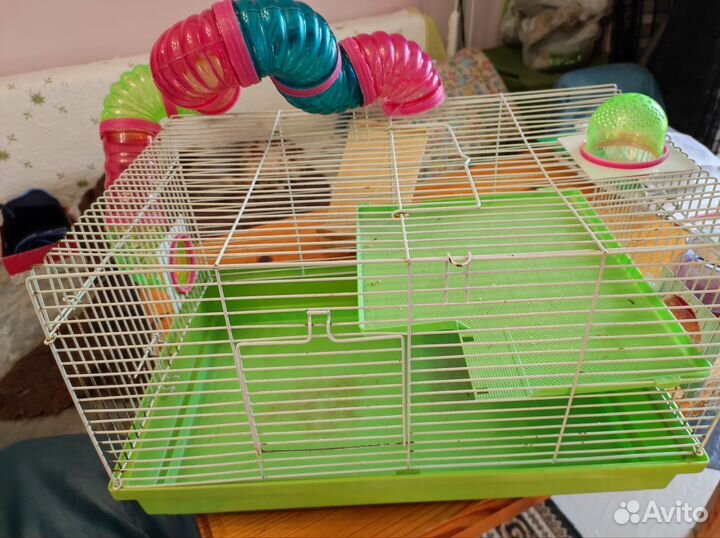 Клетка для грызунов бу