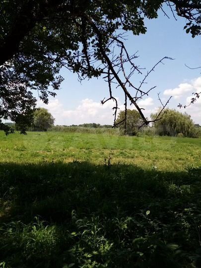 Дом 65 м² на участке 34 сот.