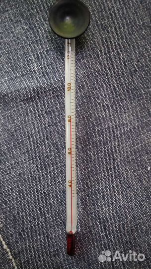 Термометр на присоске